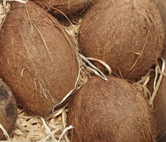 Cocos nucifera (Coconut) seed butter
