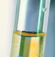 Juniperus Communis Callus Extract