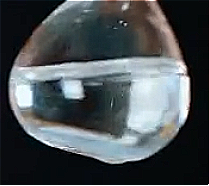 Octyldodecyl neodecanoate