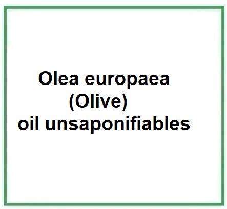 Olea europaea (Olive) oil unsaponifiables