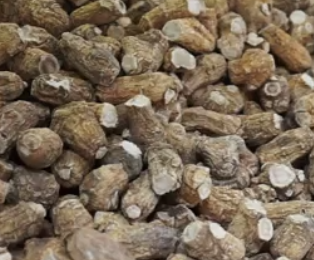 Panax Ginseng Root Extract