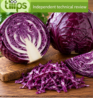 Red cabbage