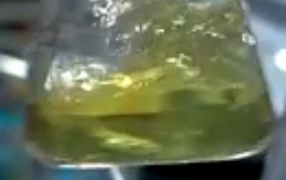 Hippophae Rhamnoides Kernel Extract