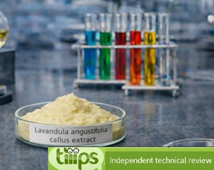 Lavandula angustifolia (Lavender) callus extract