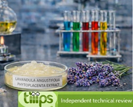 Lavandula angustifolia (Lavender) phytoplacenta extract