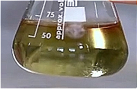 Lactobacillus/(citrus junos/prunus mume/punica granatum) fruit ferment filtrate