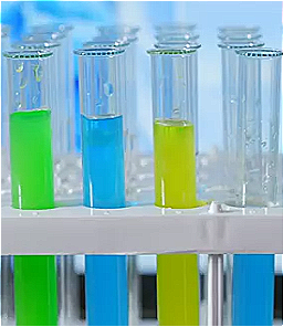 Bacterial culture