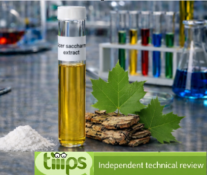 Acer Saccharum (Sugar Maple) Extract