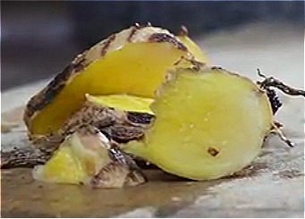 Curcuma Longa (Turmeric) Root Juice