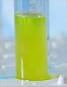 Angelica Dahurica Extract