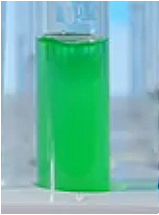 Ocimum Basilicum Herb Oil