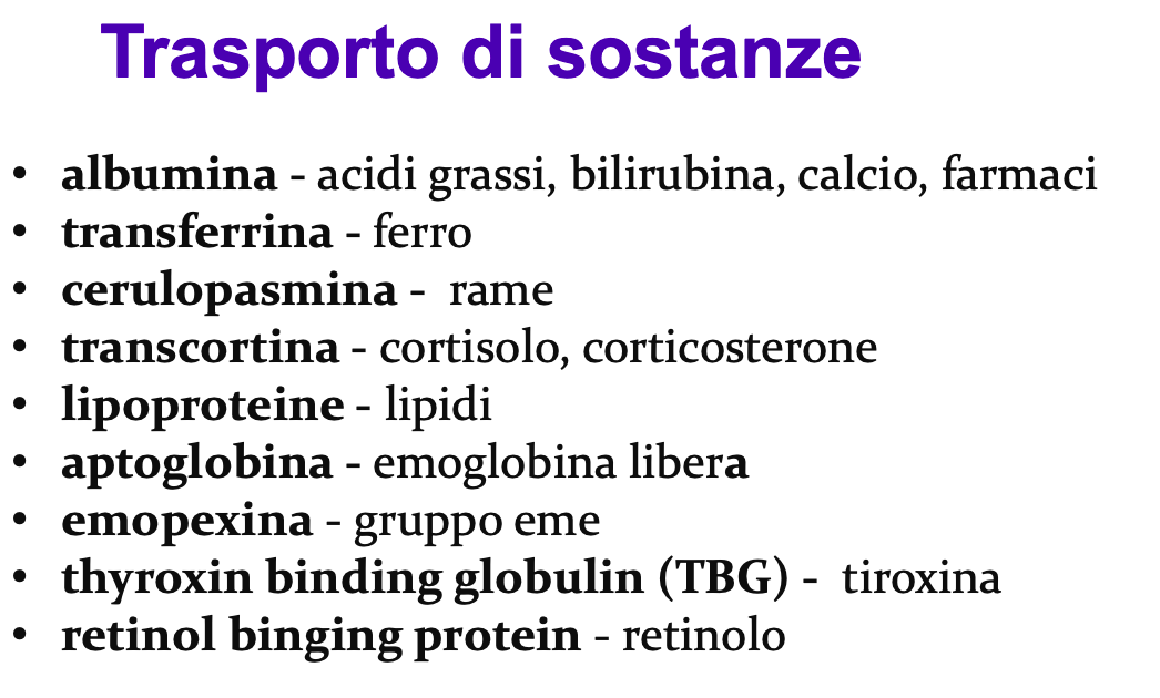 Immagine che contiene uccello

Descrizione generata automaticamente
