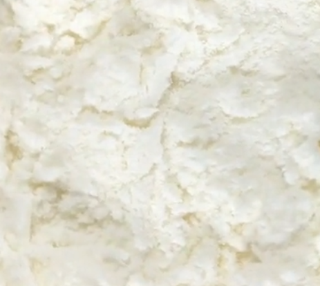 DHAalgale polvere 10% incapsulato
