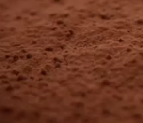 Angelica Dahurica Root Powder