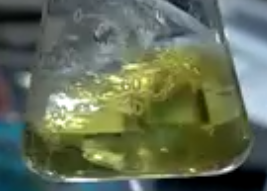 Hippophae Rhamnoides Extract