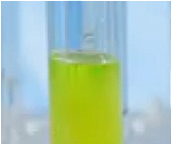 Angelica Dahurica Leaf Extract