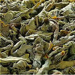 Camellia Sinensis (Chinese Tea) Leaf Extract
