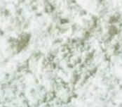 Lactase