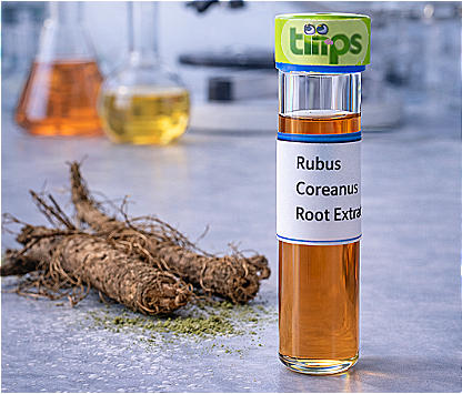 Rubus Coreanus Root Extract