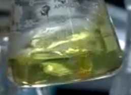 Hippophae Rhamnoides Fruit Extract