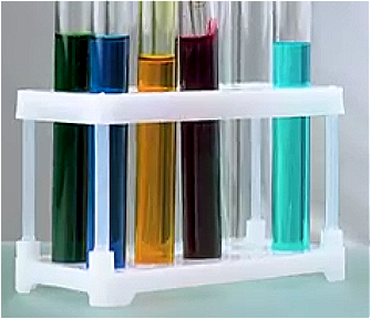 Bacterial culture