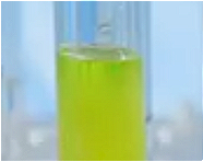 Rehmannia Glutinosa Rhizome Extract