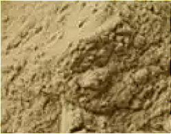 Sodium carboxymethyl beta-glucan