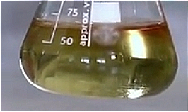 PPG-2-isodeceth-8
