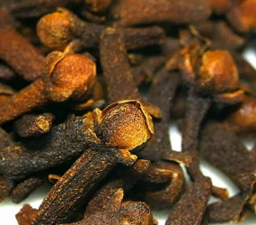 Clove bud