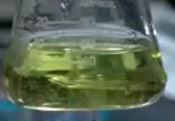 Hippophae Rhamnoides Extract