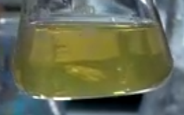 Hippophae Rhamnoides Fruit Juice