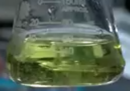 Hippophae Rhamnoides Callus Culture Extract
