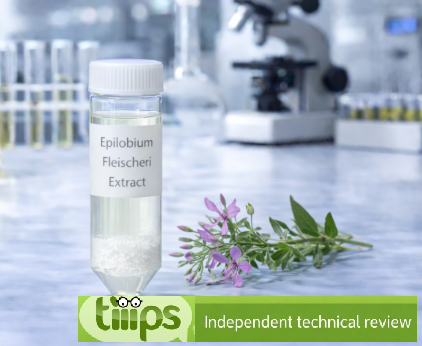Epilobium Fleischeri Extract