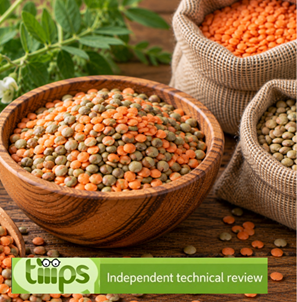 Red and green lentils
