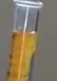 Polyglyceryl-20 octaisononanoate