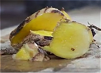 Curcuma Longa (Turmeric) Root Juice