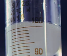 Actinidia Chinensis (Kiwi) Leaf Extract