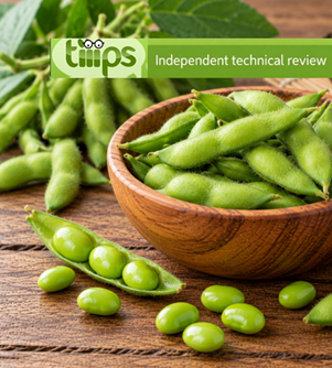 Soia edamame
