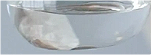 Lactobacillus/rosa damascena callus extract ferment extract filtrate
