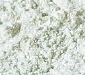 Lactase
