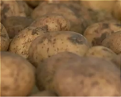 Modified Potato Starch