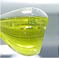 Salvia Officinalis (Sage) Oil