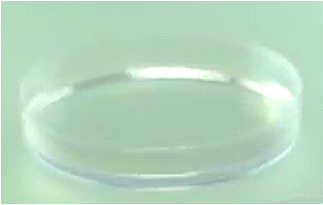 Lactobacillus/rapeseed leaf/radish root/fructose ferment filtrate