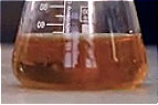 Citrus Aurantium Amara Leaf/Twig Extract