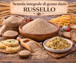 Durum wheat Russello sourdough starter