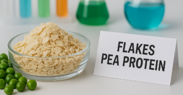 Flakes pea protein