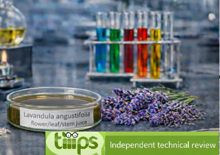 Lavandula angustifolia flower/leaf/stem juice