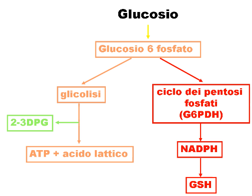 Immagine che contiene screenshot

Descrizione generata automaticamente