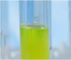 Saccharomyces/Angelica Dahurica Root Ferment Extract Filtrate
