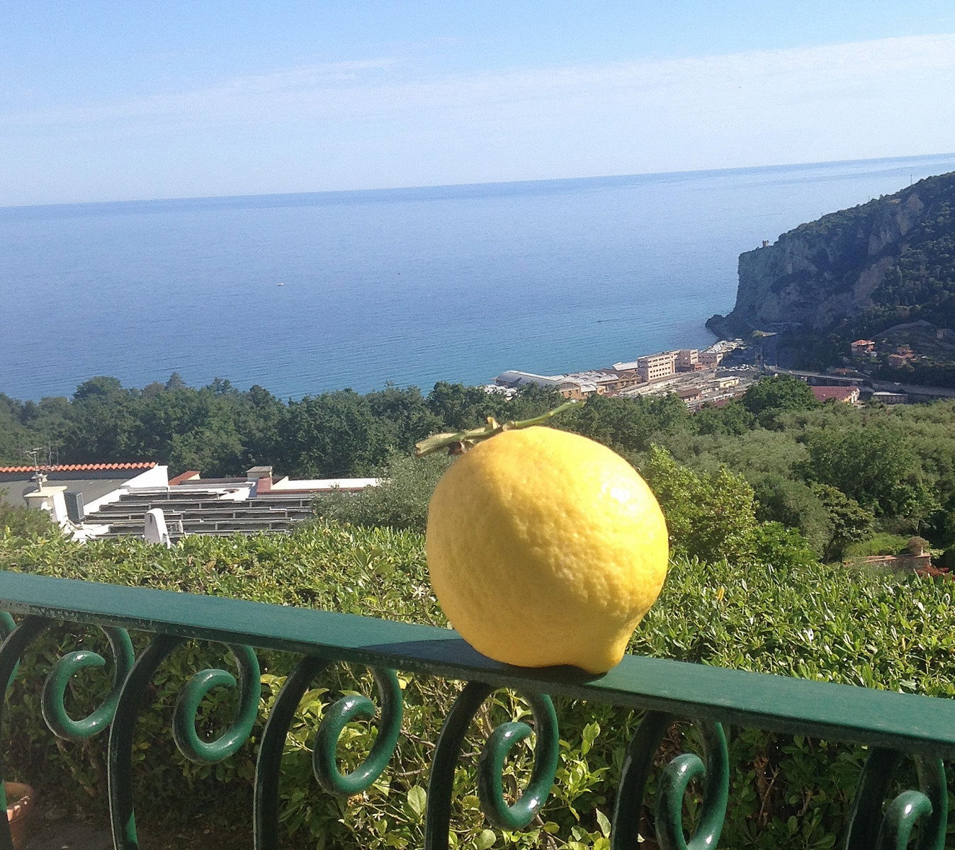 Cedro